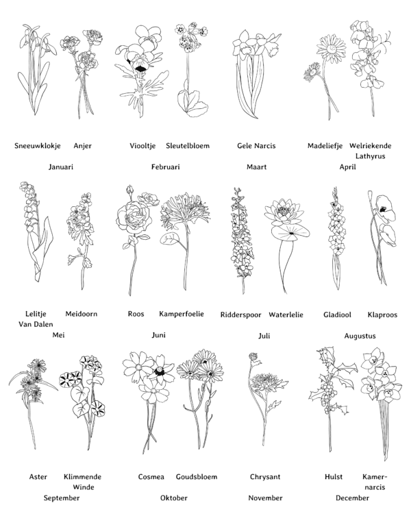 Geboortebloem - Afbeelding 5