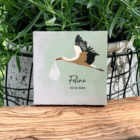 Delivering a Bundle of Joy