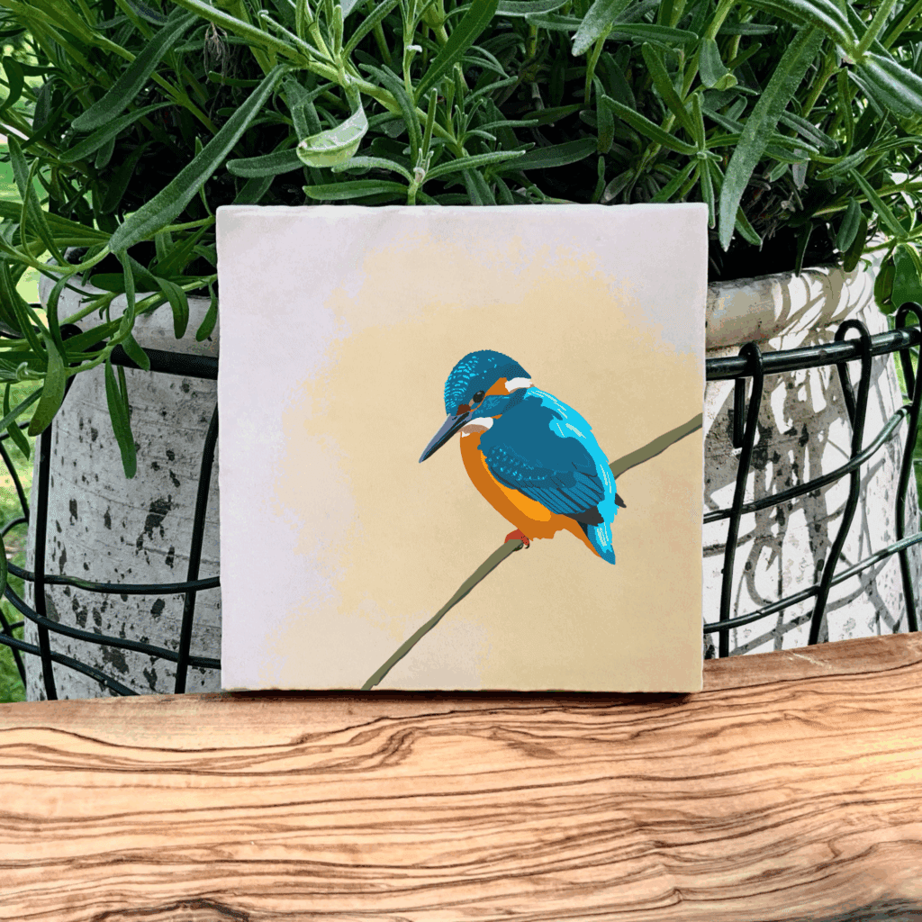Ijsvogel I