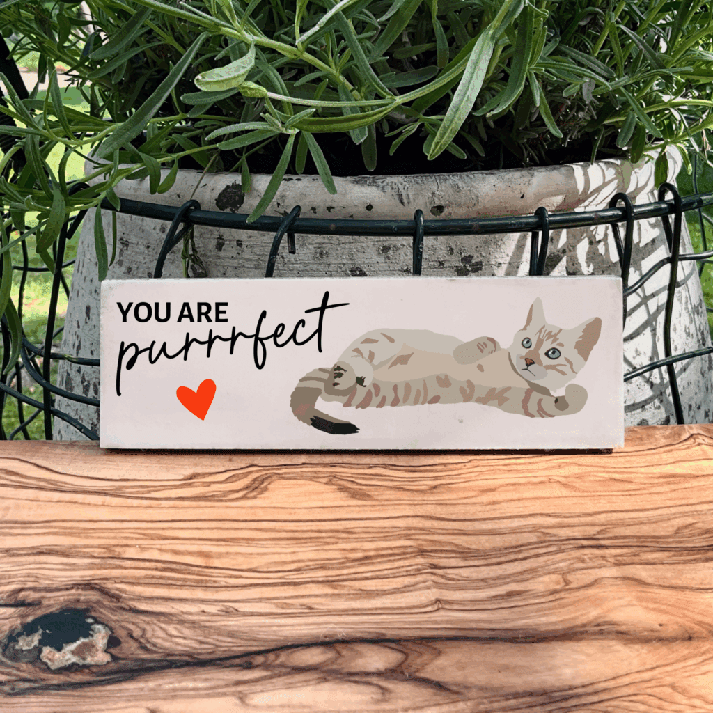 You are purrrfect