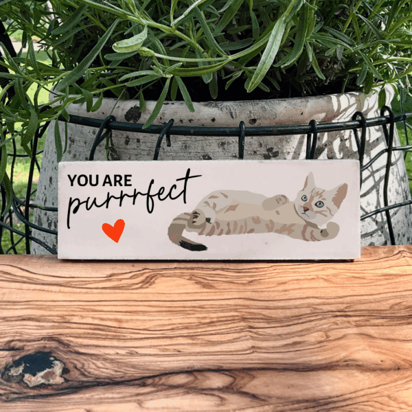 You are purrrfect