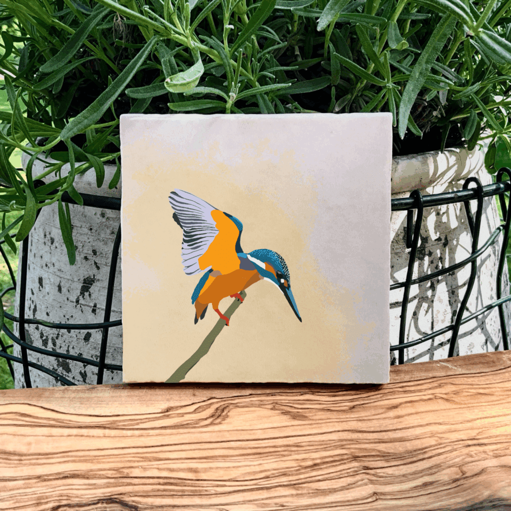 Ijsvogel II