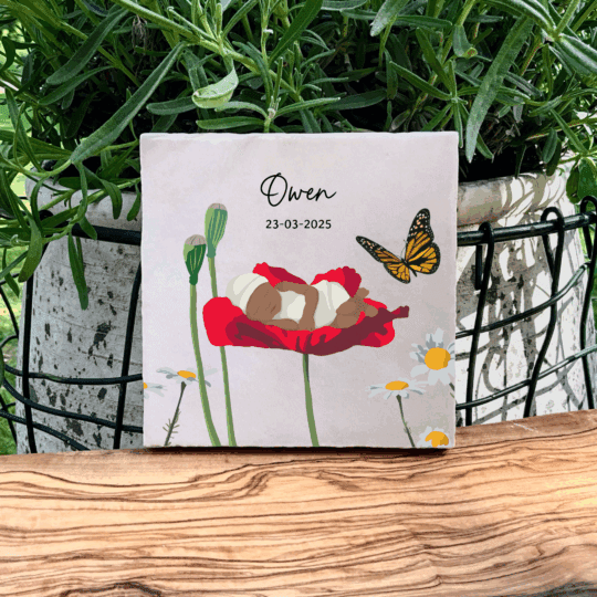 Baby op bloem variant 3